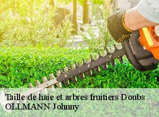 Taille de haie et arbres fruitiers 25 Doubs  OLLMANN Johnny 