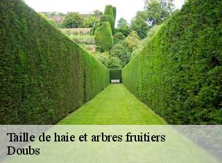 Taille de haie et arbres fruitiers Doubs 