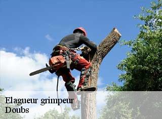Elagueur grimpeur Doubs