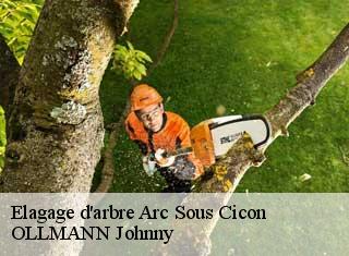 Elagage d'arbre arc-sous-cicon-25520 OLLMANN Johnny