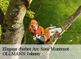 Elagage d'arbre  arc-sous-montenot-25270 OLLMANN Johnny 