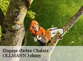Elagage d'arbre  chaleze-25220 OLLMANN Johnny 