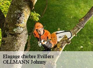 Elagage d'arbre  evillers-25520 OLLMANN Johnny 