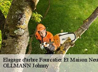 Elagage d'arbre  fourcatier-et-maison-neuve-25370 OLLMANN Johnny 