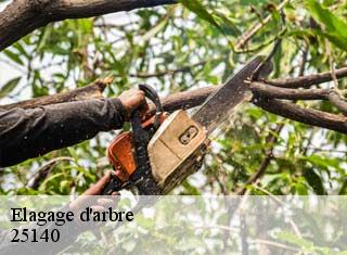 Elagage d'arbre 25140