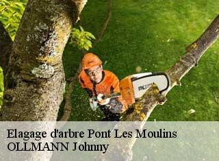 Elagage d'arbre  pont-les-moulins-25110 OLLMANN Johnny 
