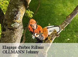 Elagage d'arbre rillans-25110 OLLMANN Johnny