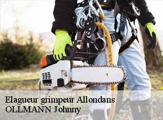 Elagueur grimpeur  allondans-25550 OLLMANN Johnny 