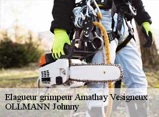 Elagueur grimpeur  amathay-vesigneux-25330 OLLMANN Johnny 