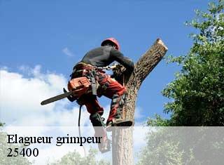 Elagueur grimpeur  25400