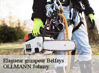 Elagueur grimpeur  belfays-25470 OLLMANN Johnny 