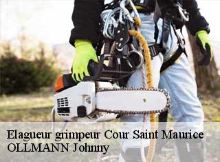 Elagueur grimpeur cour-saint-maurice-25380 OLLMANN Johnny