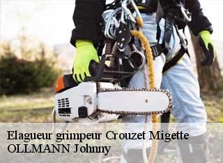 Elagueur grimpeur  crouzet-migette-25270 OLLMANN Johnny 