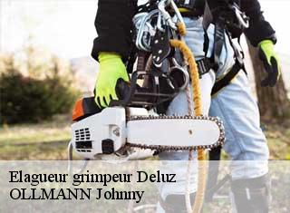 Elagueur grimpeur  deluz-25960 OLLMANN Johnny 