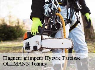 Elagueur grimpeur  hyevre-paroisse-25110 OLLMANN Johnny 