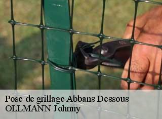 Pose de grillage  abbans-dessous-25320 OLLMANN Johnny 