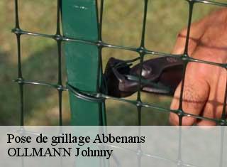 Pose de grillage  abbenans-25340 OLLMANN Johnny 