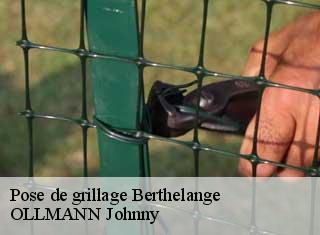 Pose de grillage  berthelange-25410 OLLMANN Johnny 