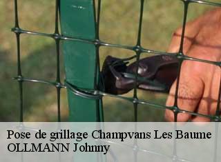 Pose de grillage  champvans-les-baume-25110 OLLMANN Johnny 