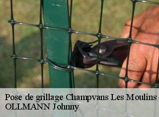 Pose de grillage  champvans-les-moulins-25170 OLLMANN Johnny 