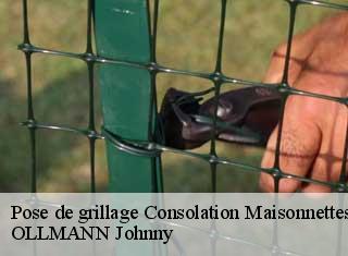 Pose de grillage  consolation-maisonnettes-25390 OLLMANN Johnny 