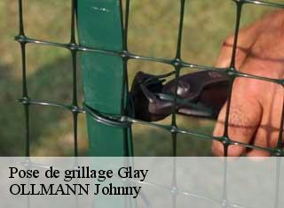 Pose de grillage  glay-25310 OLLMANN Johnny 