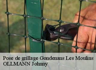Pose de grillage  gondenans-les-moulins-25680 OLLMANN Johnny 