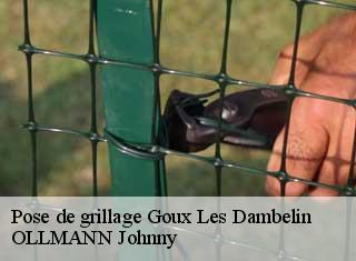 Pose de grillage  goux-les-dambelin-25150 OLLMANN Johnny 