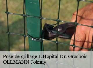 Pose de grillage  l-hopital-du-grosbois-25620 OLLMANN Johnny 