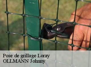 Pose de grillage  loray-25390 OLLMANN Johnny 