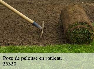 Pose de pelouse en rouleau  25320