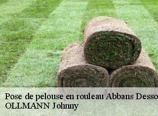 Pose de pelouse en rouleau  abbans-dessous-25320 OLLMANN Johnny 