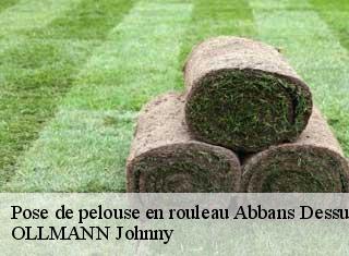 Pose de pelouse en rouleau  abbans-dessus-25440 OLLMANN Johnny 