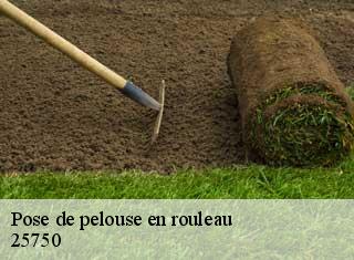 Pose de pelouse en rouleau  25750