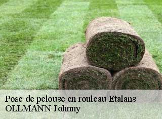 Pose de pelouse en rouleau  etalans-25580 OLLMANN Johnny 