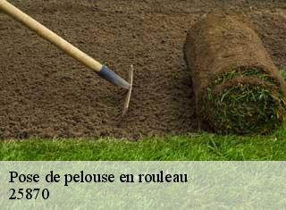 Pose de pelouse en rouleau 25870