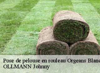 Pose de pelouse en rouleau  orgeans-blanche-fontaine-25120 OLLMANN Johnny 