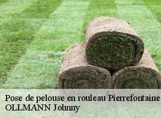 Pose de pelouse en rouleau  pierrefontaine-les-blamon-25310 OLLMANN Johnny 