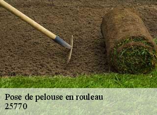 Pose de pelouse en rouleau 25770