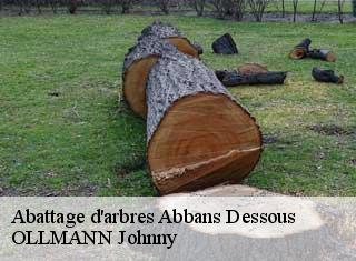 Abattage d'arbres  abbans-dessous-25320 OLLMANN Johnny 