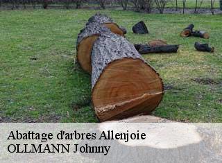 Abattage d'arbres allenjoie-25490 OLLMANN Johnny