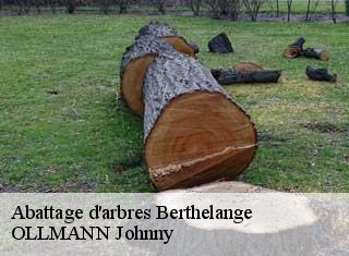 Abattage d'arbres  berthelange-25410 OLLMANN Johnny 