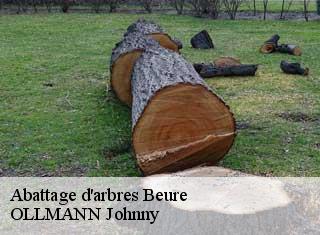 Abattage d'arbres  beure-25720 OLLMANN Johnny 