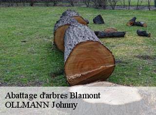 Abattage d'arbres blamont-25310 OLLMANN Johnny