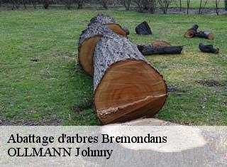 Abattage d'arbres  bremondans-25530 OLLMANN Johnny 