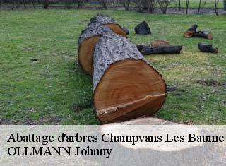 Abattage d'arbres  champvans-les-baume-25110 OLLMANN Johnny 