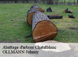 Abattage d'arbres  chatelblanc-25240 OLLMANN Johnny 
