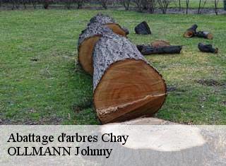 Abattage d'arbres  chay-25440 OLLMANN Johnny 