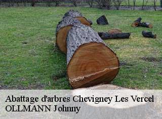 Abattage d'arbres chevigney-les-vercel-25530 OLLMANN Johnny