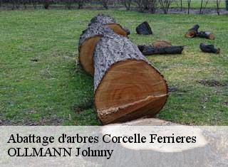 Abattage d'arbres  corcelle-ferrieres-25410 OLLMANN Johnny 